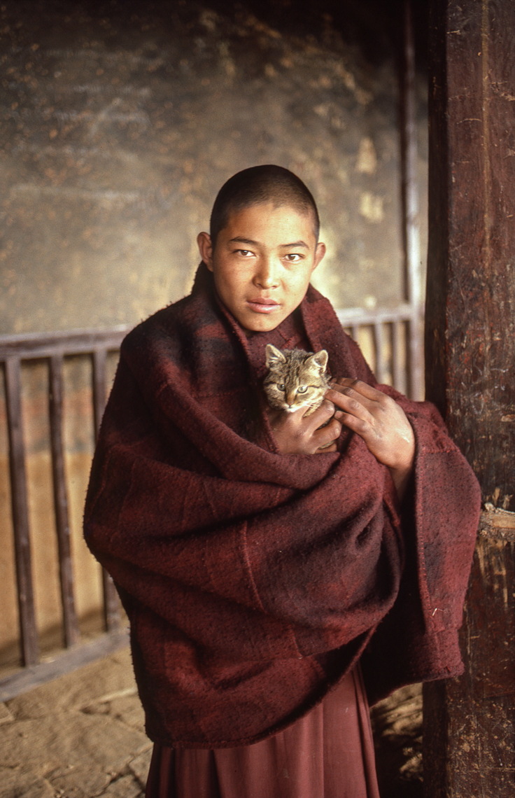 Monk and Cat