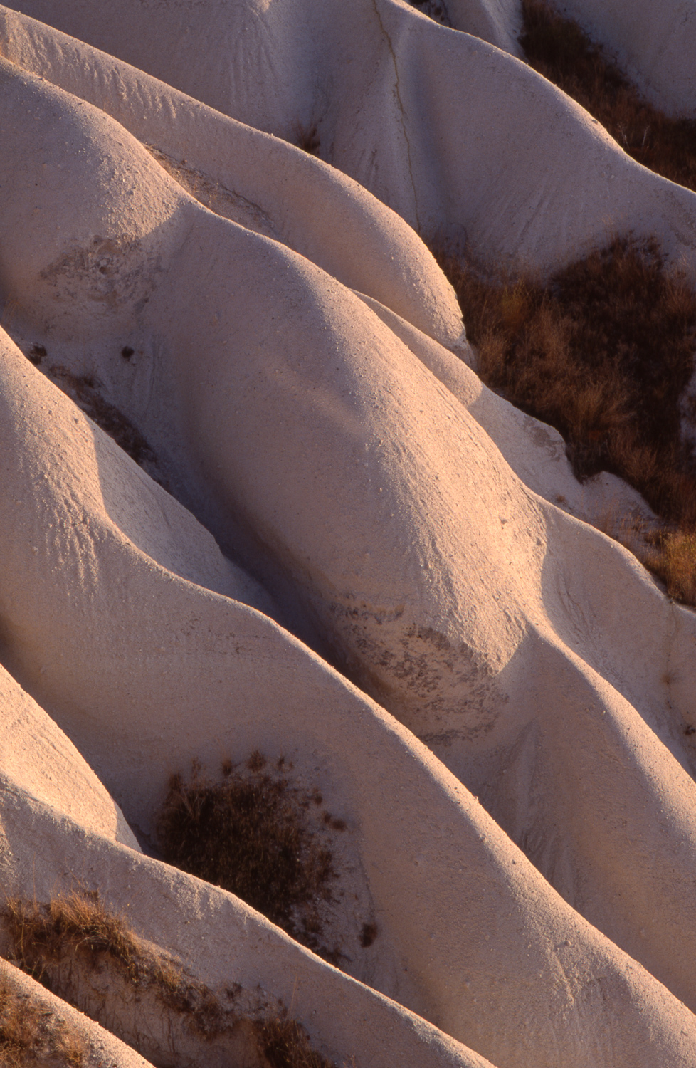 Soft Hills