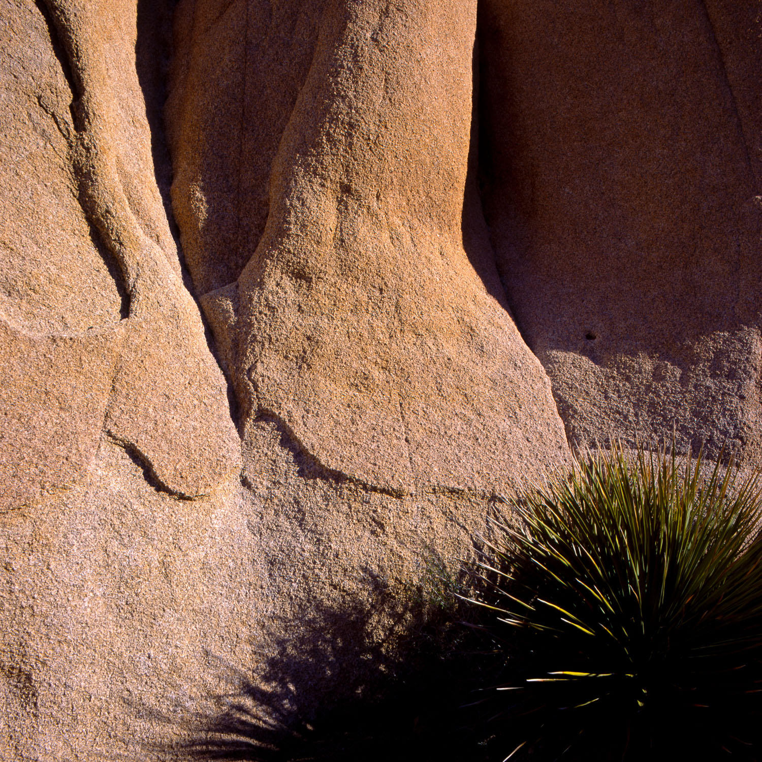 Erosion